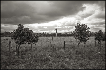 Bild: Tasmanien