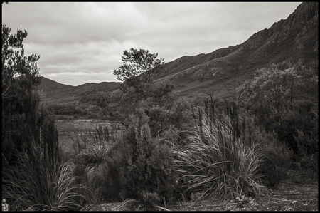 Bild: Tasmanien